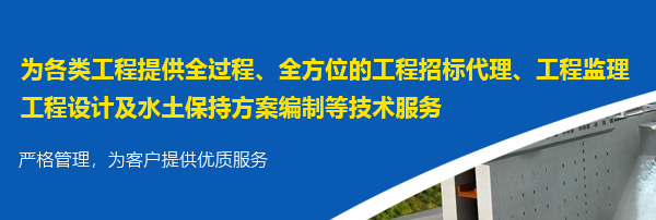河南方正水利工程咨詢(xún)有限公司